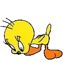 Gif Titi picore